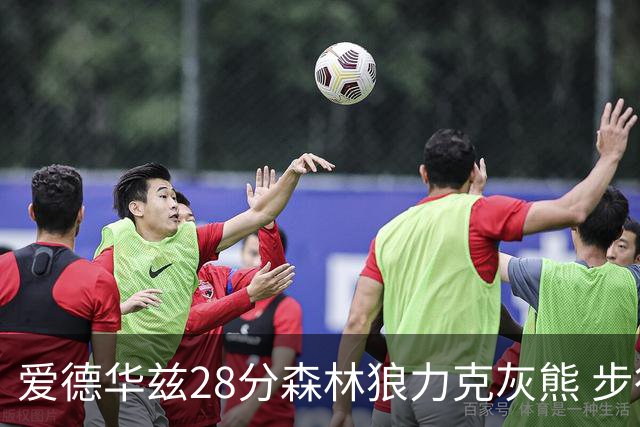 爱德华兹28分森林狼力克灰熊 步行者险胜国王